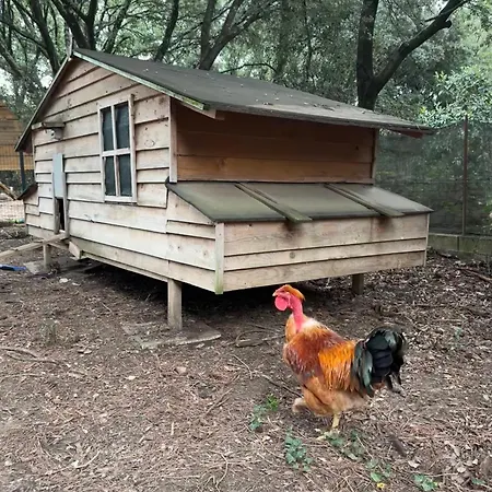 Casa de Férias Mas Pepette